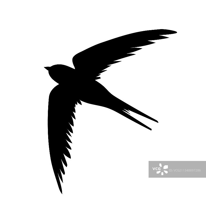 白色背景上的燕子剪影图片素材