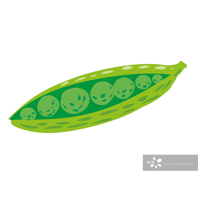 绿色豌豆天然健康有机营养图片素材