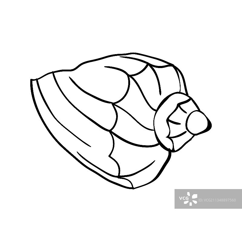 手绘海螺涂鸦图片素材