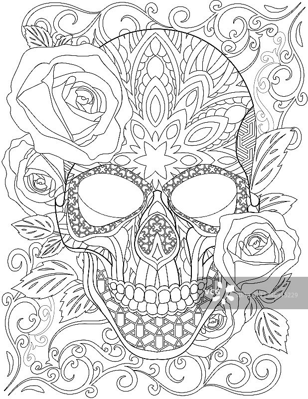 骷髅纹身线条画与花朵图片素材