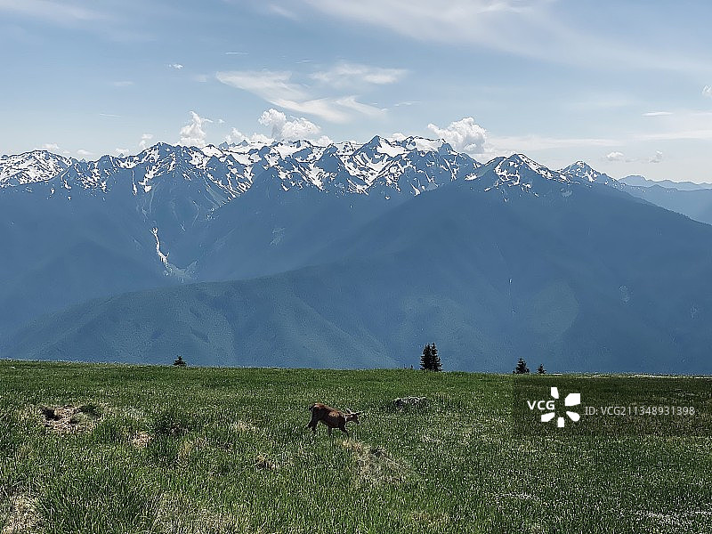 美国太平洋西北步道田野风光图片素材