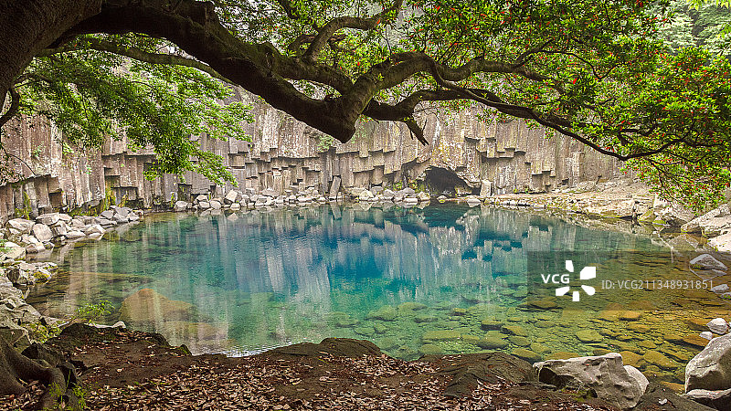 森林中的湖泊风景图片素材
