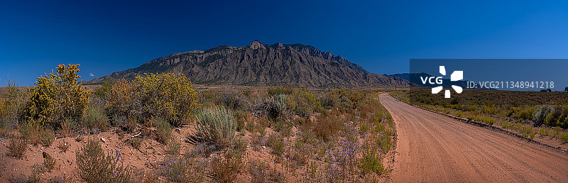 美国新墨西哥州贝纳利洛，蓝天下树木中的道路全景图片素材