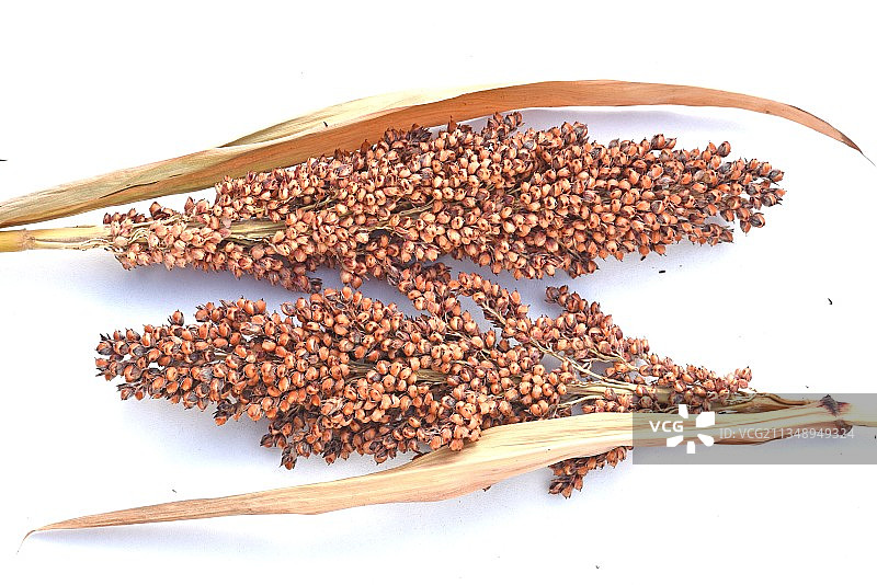 法国白色背景上的干燥食物特写图片素材