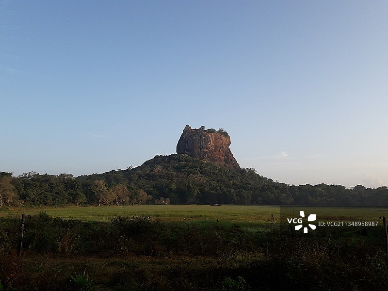 斯里兰卡锡吉里耶：晴空下的田野图片素材