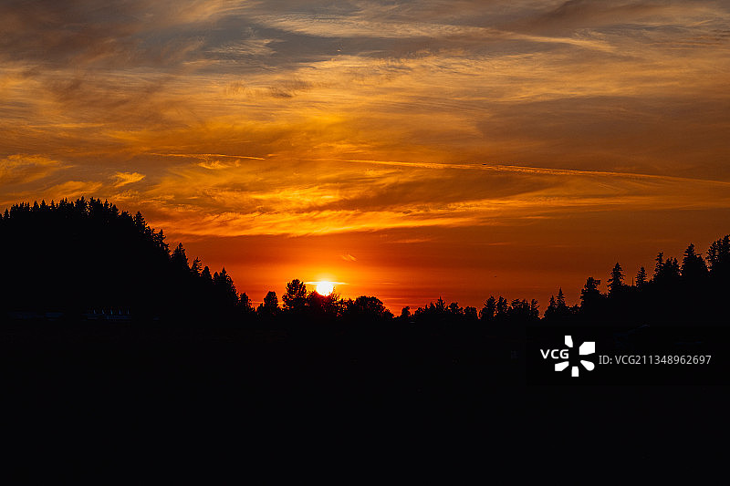 美国华盛顿州日落时分的树木轮廓图片素材