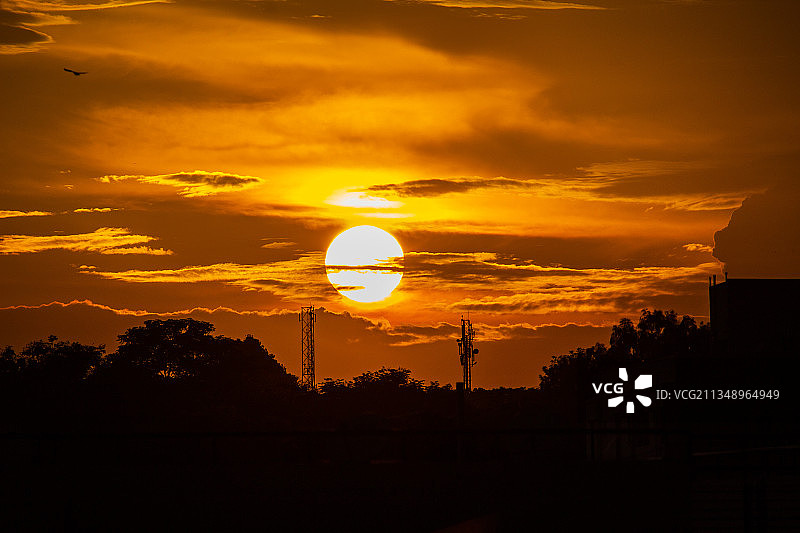 日落时分天空下的树木轮廓，印度卡纳塔克邦班加罗尔图片素材