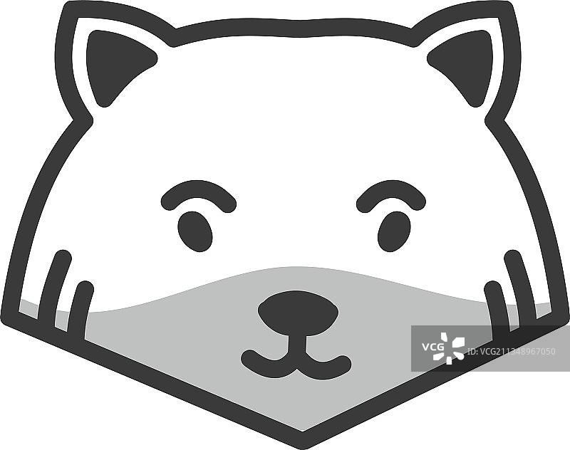 白色背景上的灰色掠食猫图片素材