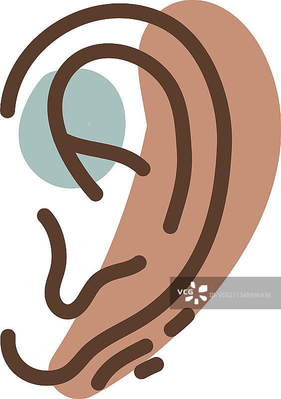 白色背景上的人类耳朵图片素材