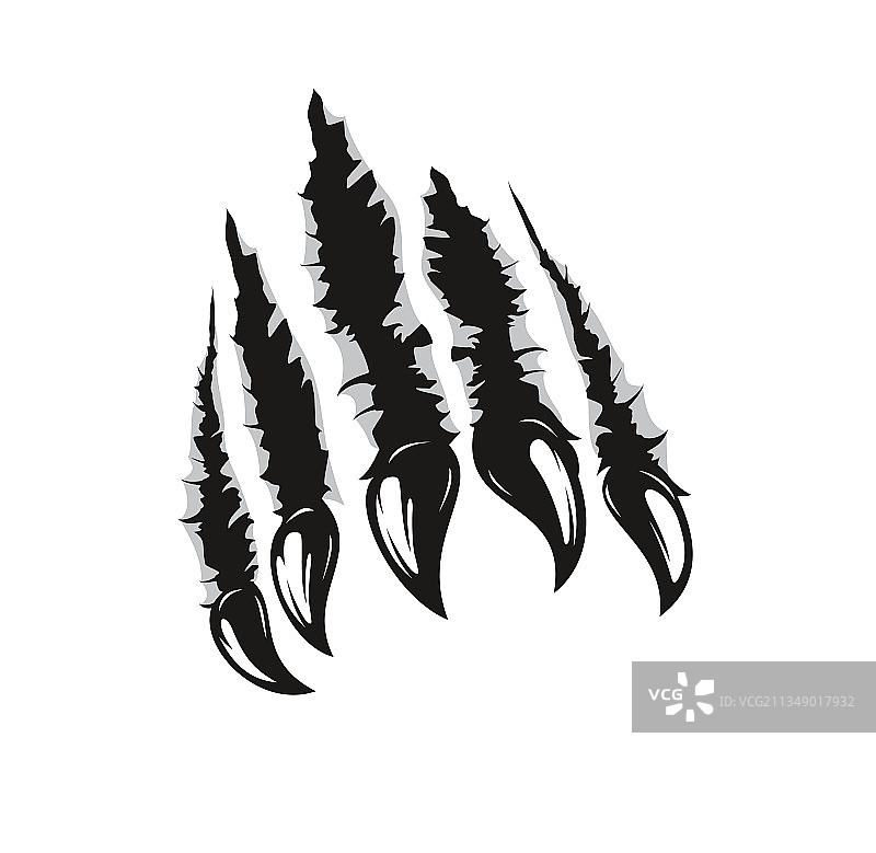 棕熊爪痕野生动物爪子刮痕图片素材