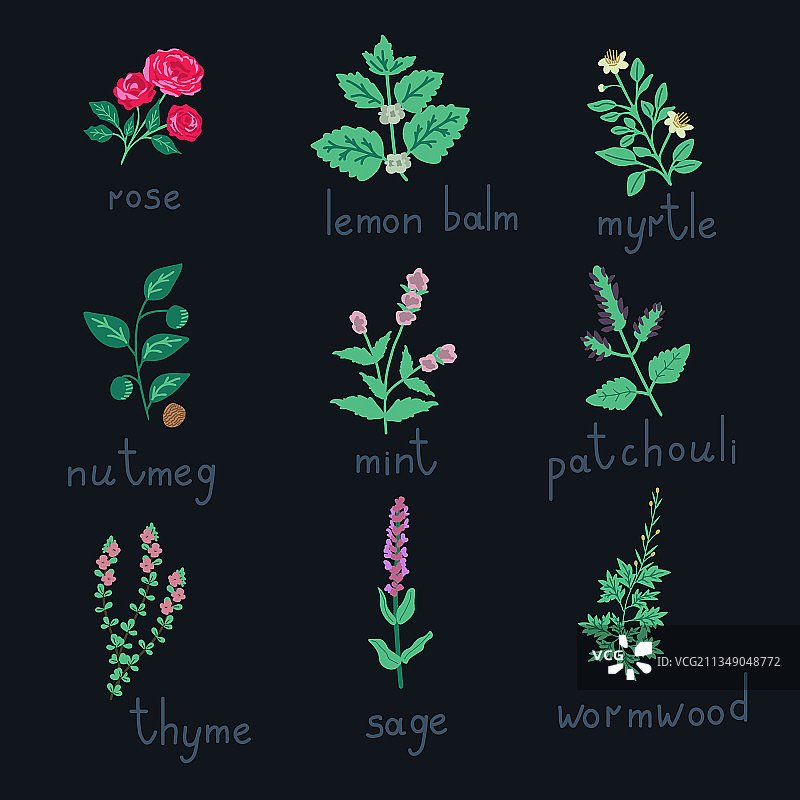 精油植物图片素材