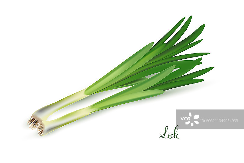 用于烹饪的绿色韭菜枝叶草本植物图片素材