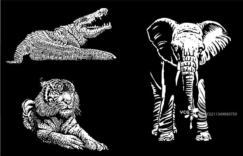 黑色背景上的非洲动物3D图形合集图片素材