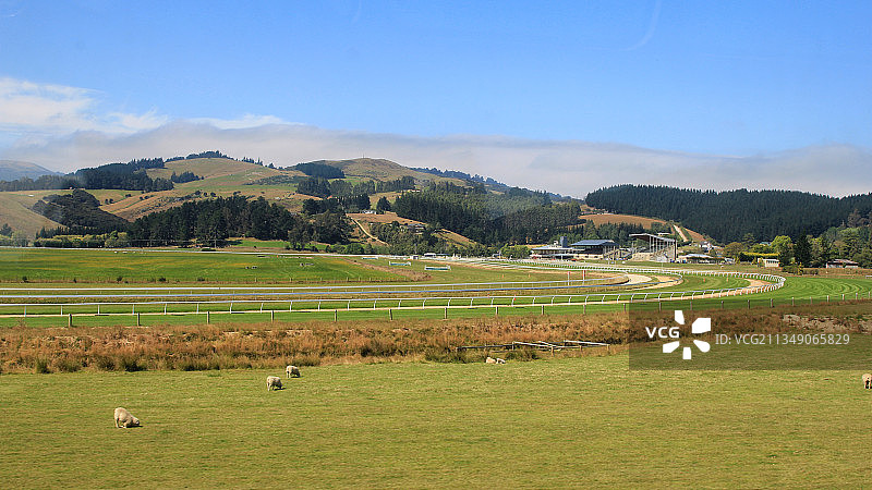 蓝天白云下的新西兰乡村跑马场图片素材