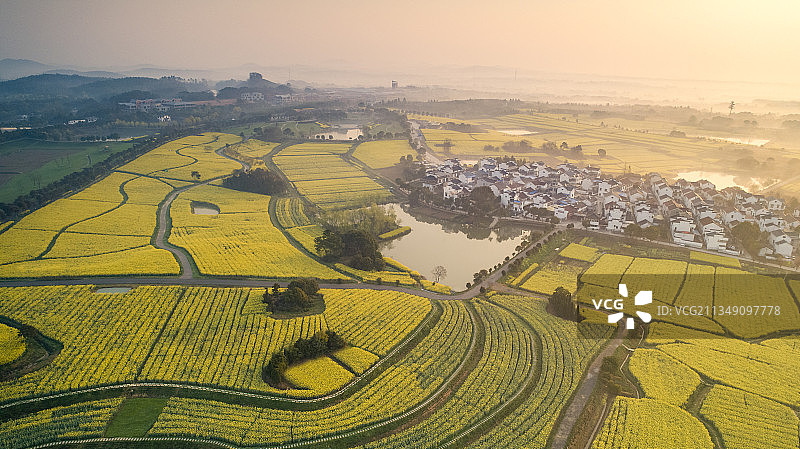 航拍中国江苏省南京市高淳区桠溪油菜花田图片素材