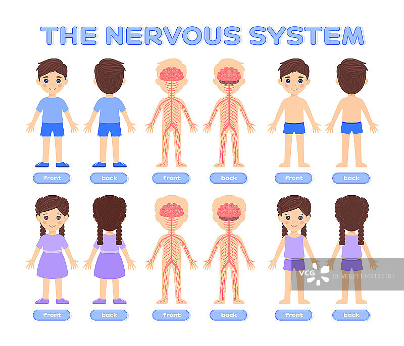 穿着内衣裤的卡通男孩和女孩图片素材