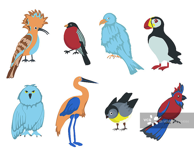 一套白色背景上的卡通鸟图片素材