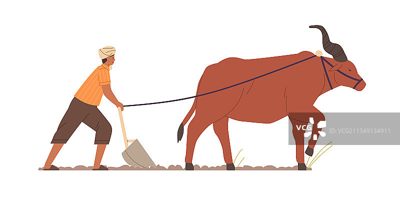 印度农民传统耕作图片素材