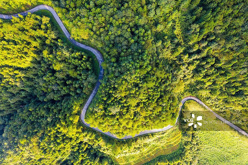 正上方视角航拍恩施大峡谷森林山路图片素材