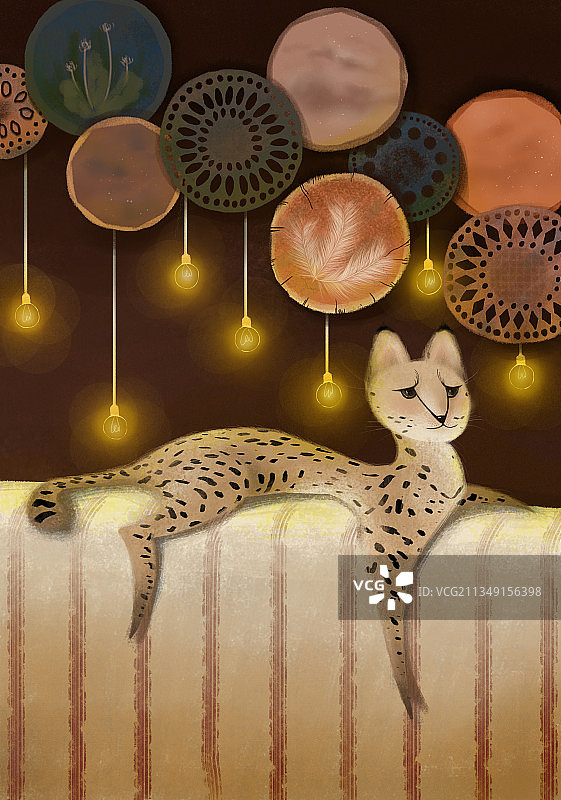 猫咪的节日图片素材