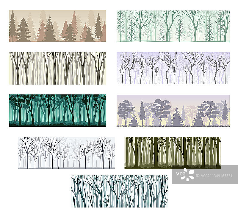 具有高大树干和分枝顶部的树木轮廓图片素材