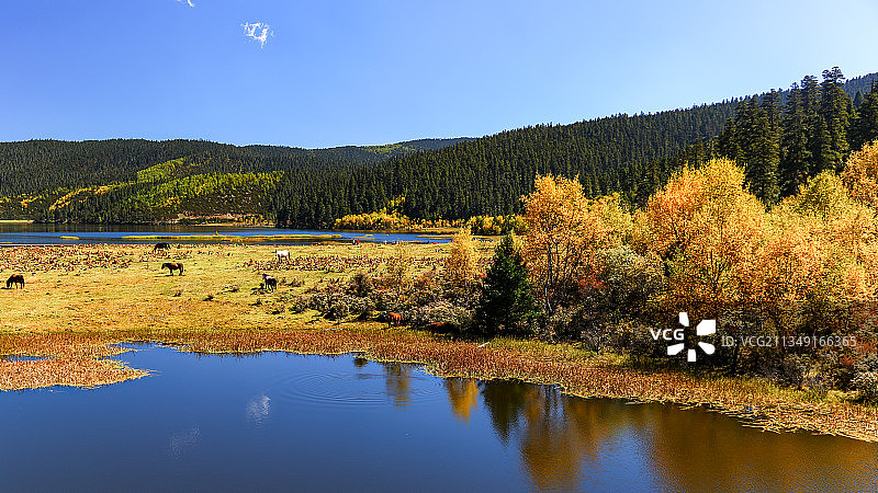 普达措的秋天图片素材