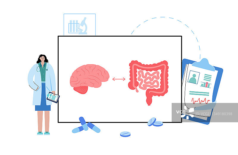 肠脑连接图片素材