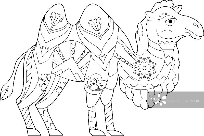 热带奇特骆驼黑白图片图片素材