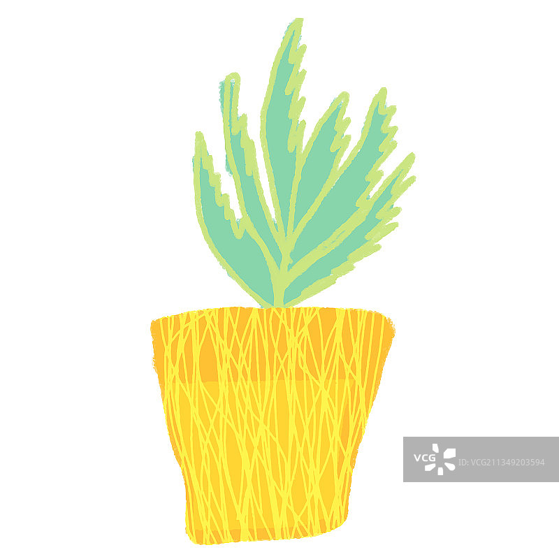 仙人掌图片素材