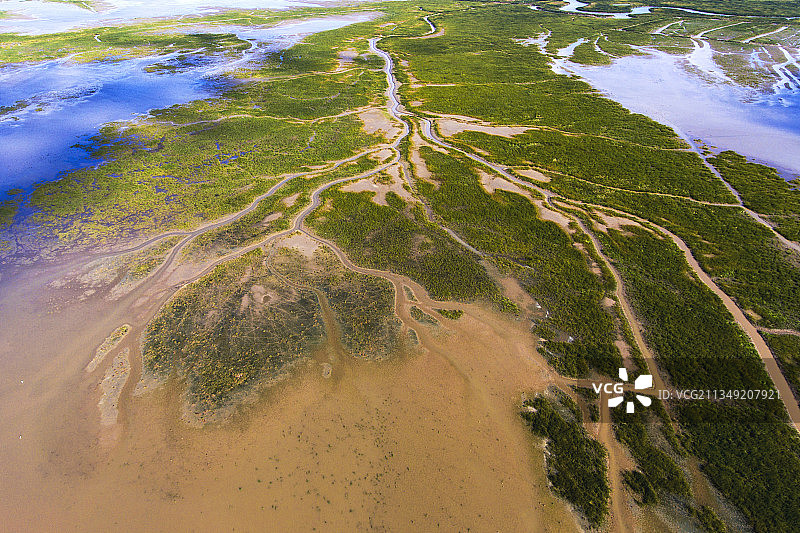 地球之肾（中国第一处滨海世界自然遗产江苏盐城湿地）图片素材