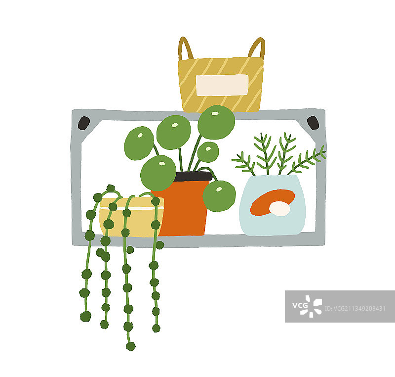 墙壁架子上的盆栽装饰图片素材