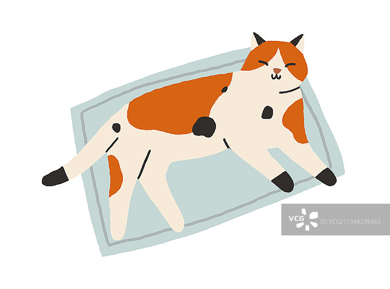 可爱猫咪在地毯上睡觉，甜美宠物图片素材