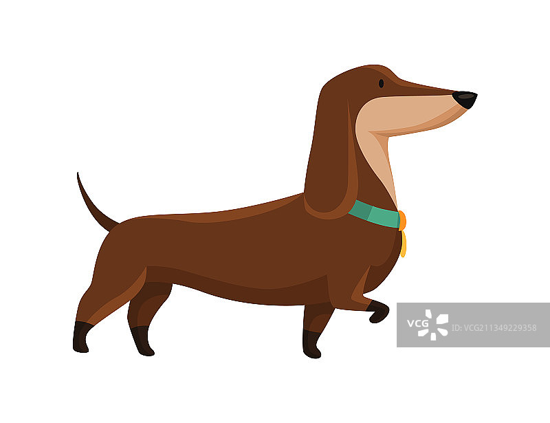 可爱的卡通腊肠犬画像图片素材