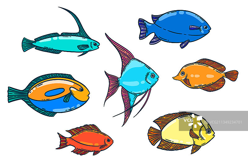 手绘明亮鱼图片素材