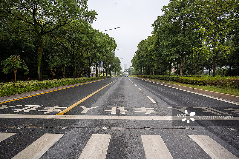 礼让行人人行横道斑马线图片素材