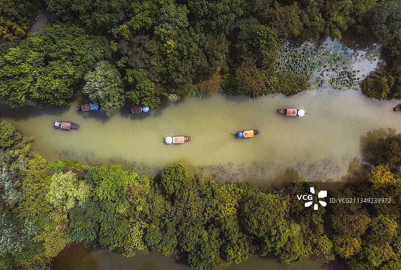 摇橹船-西溪湿地图片素材