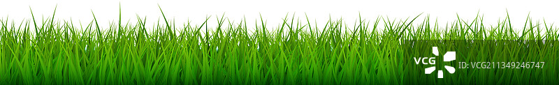 逼真的明亮绿色无缝草地边界图片素材