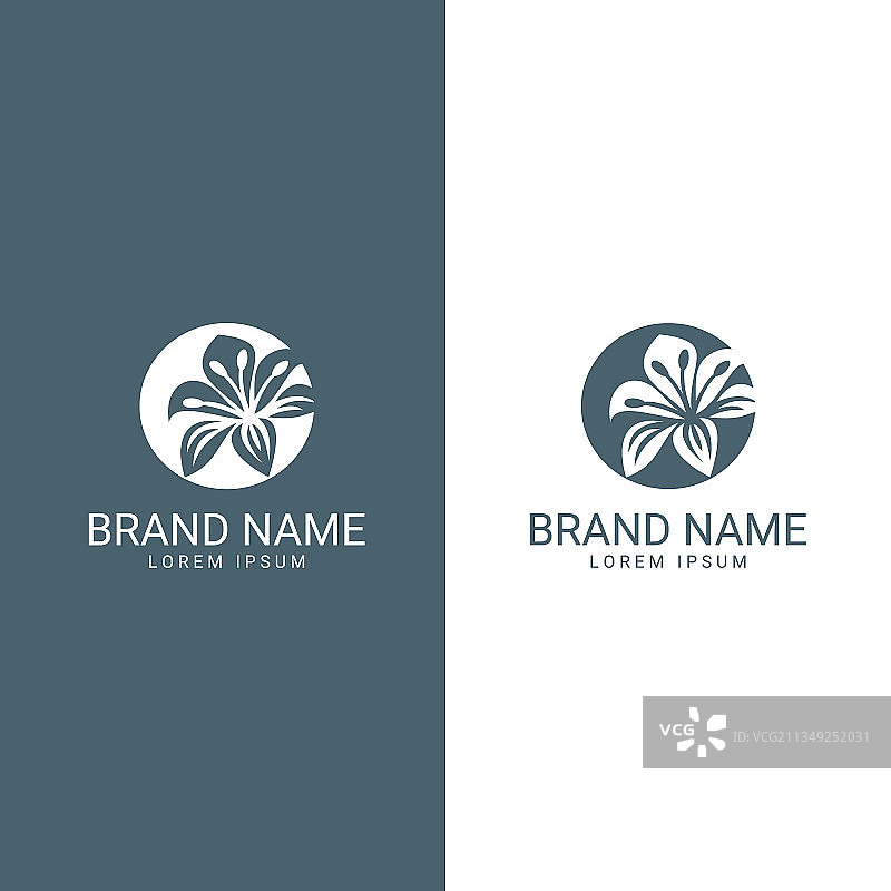 一套美容天然元素标志图片素材