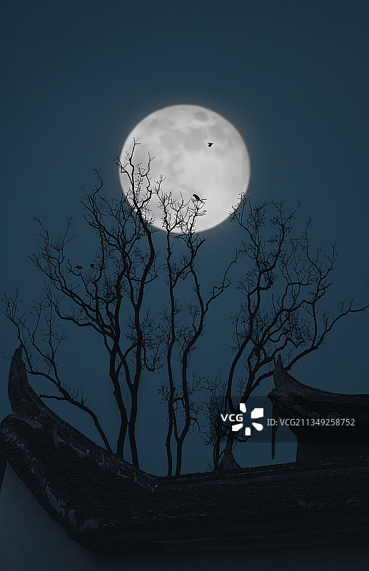 『月夜』图片素材