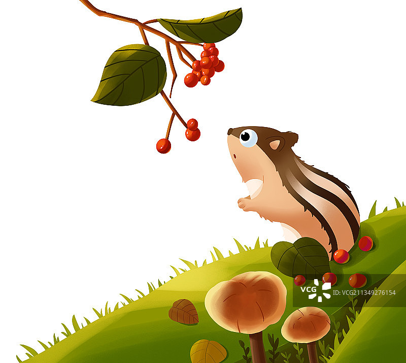 花栗鼠摘果子插画图片素材