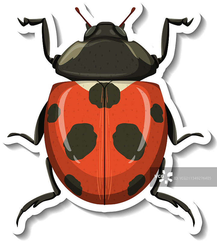 瓢虫贴纸模板图片素材