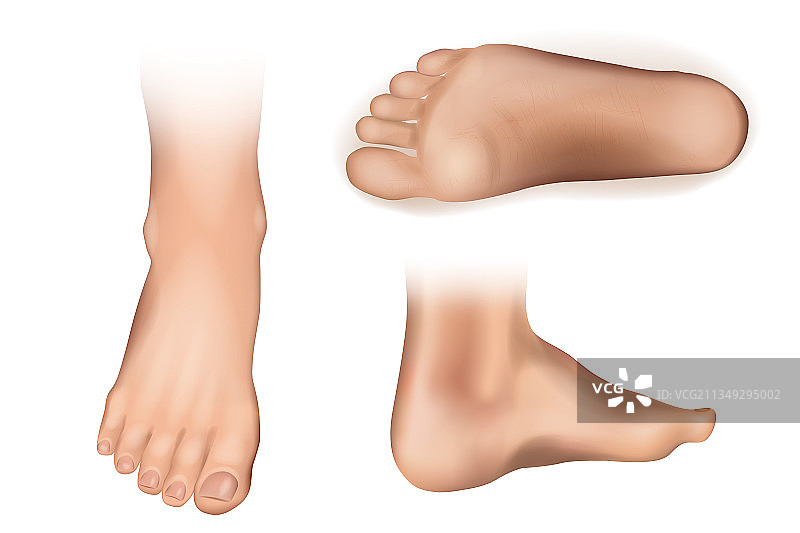 排列整齐的裸露人脚底合集图片素材