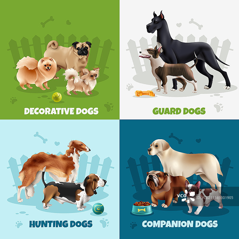 犬种设计概念图片素材