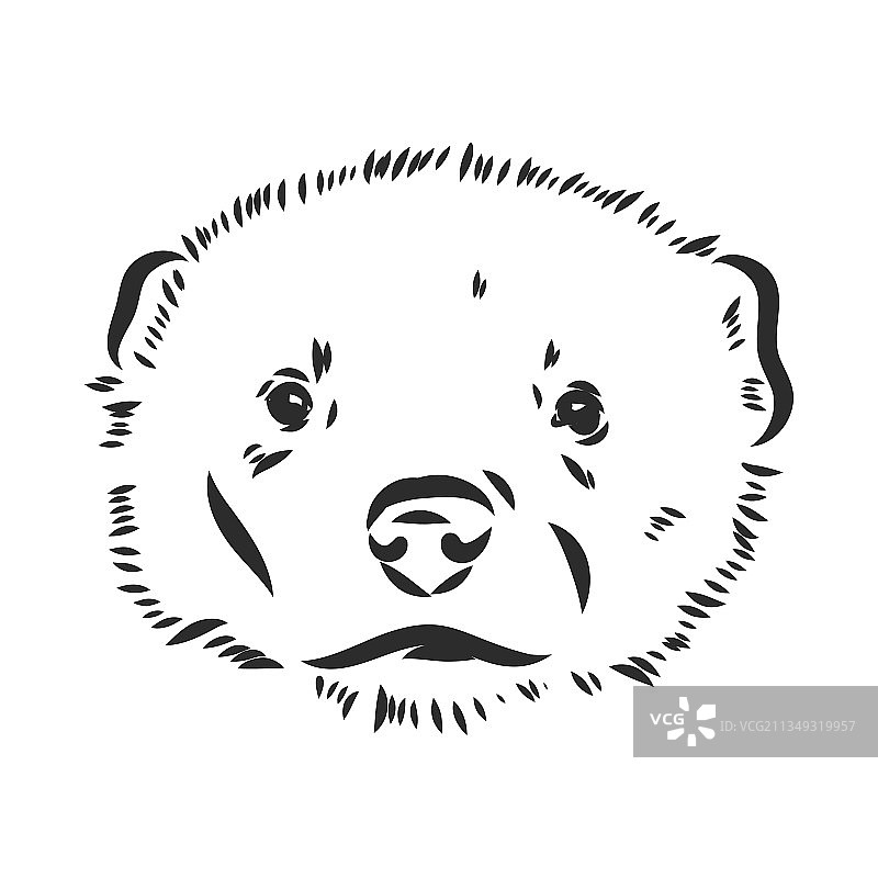 黑色手绘狼獾素描图片素材