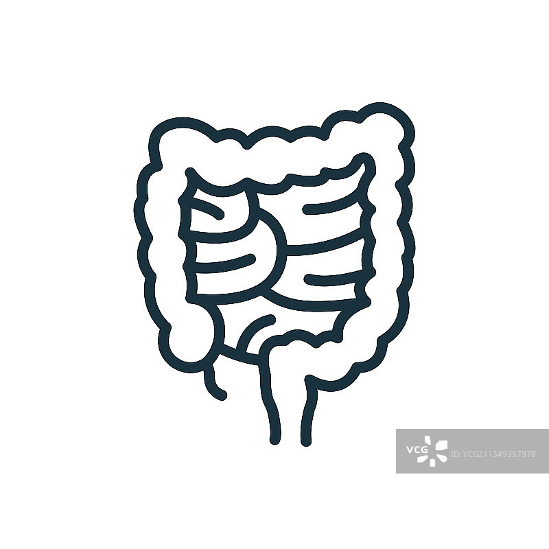 结肠线条图标大肠线性图图片素材