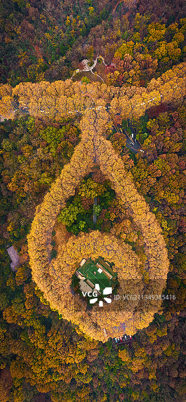 美龄宫的秋图片素材