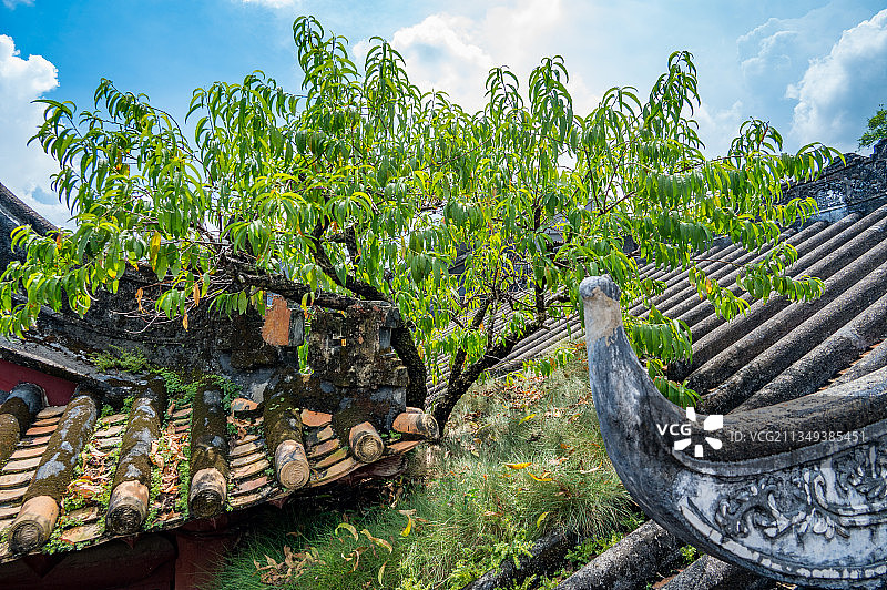 何仙姑家庙庙顶仙桃 麻姑仙桃图片素材