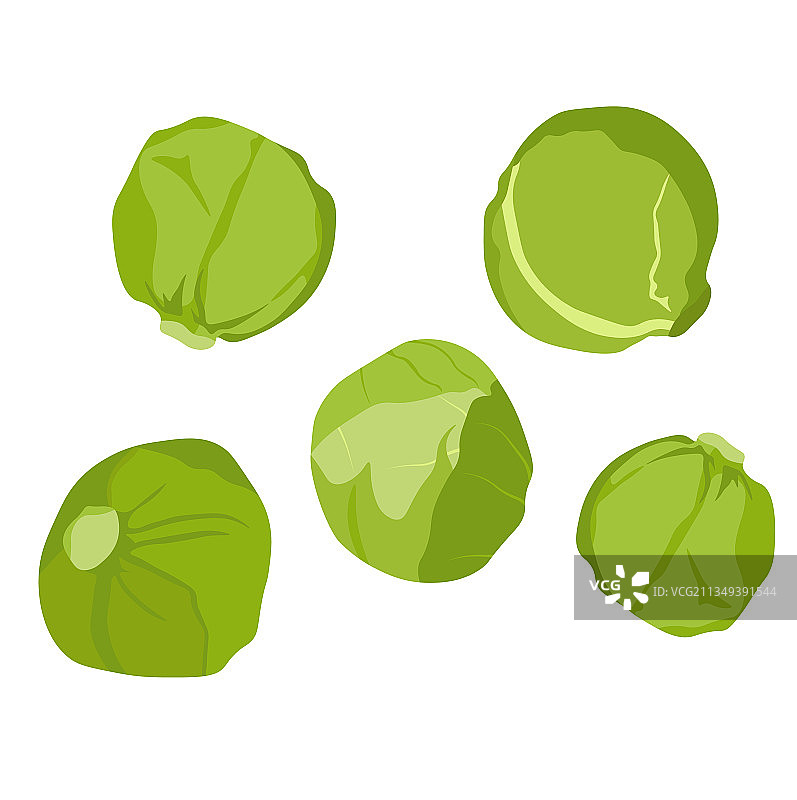 球芽甘蓝库存图片素材