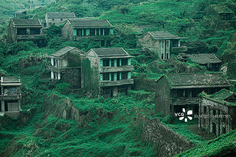 嵊山无人村特写，被绿色植被覆盖的废弃渔村，见证沧海桑田图片素材