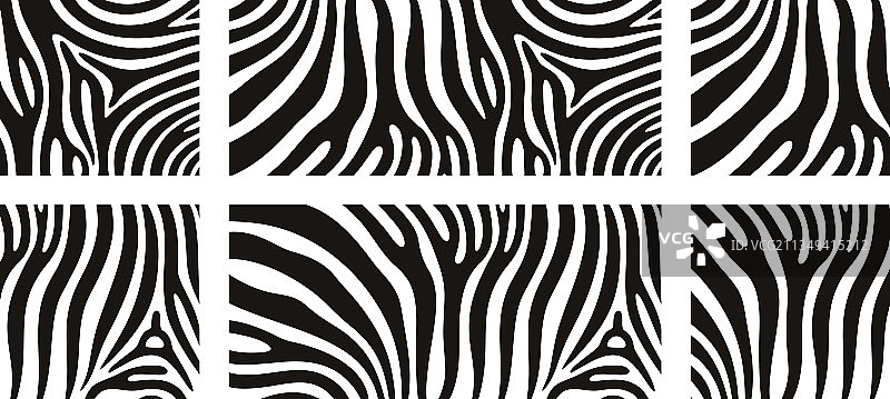 斑马纹理图案图片素材